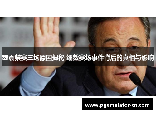 魏震禁赛三场原因揭秘 细数赛场事件背后的真相与影响