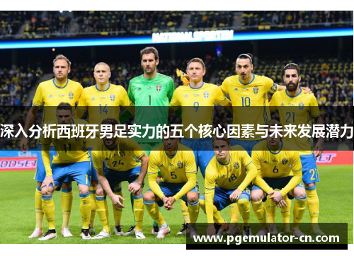 深入分析西班牙男足实力的五个核心因素与未来发展潜力