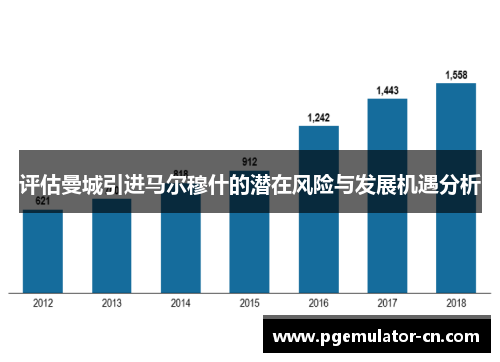 评估曼城引进马尔穆什的潜在风险与发展机遇分析