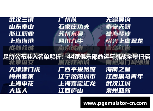 足协公布准入名单解析：44家俱乐部命运与挑战全景扫描