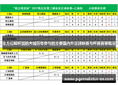 全方位解析加的夫城历年参与的主要国内外足球联赛与杯赛赛事概况