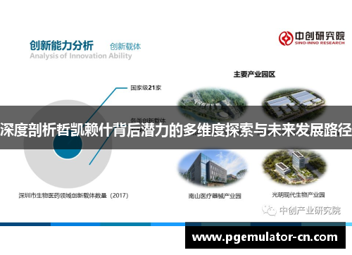 深度剖析哲凯赖什背后潜力的多维度探索与未来发展路径 深度剖析哲凯赖什背后潜力的多维度探索与未来发展路径