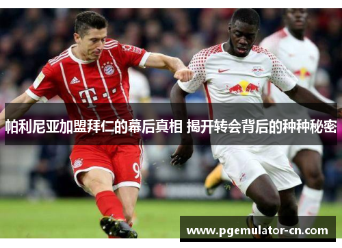 帕利尼亚加盟拜仁的幕后真相 揭开转会背后的种种秘密