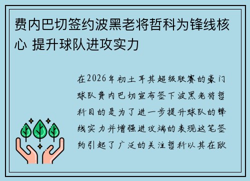 费内巴切签约波黑老将哲科为锋线核心 提升球队进攻实力