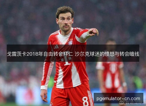 戈雷茨卡2018年自由转会拜仁 沙尔克球迷的愤怒与转会暗线
